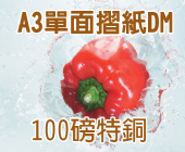 A3特銅 (100磅)彩色單面摺紙folding DM