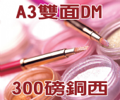 A3雙面DM-300磅銅西 Brochures