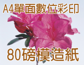 單面A4 DM 80g模造紙-彩色數位印刷