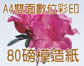 雙面A4 DM 80g模造紙-彩色數位印刷